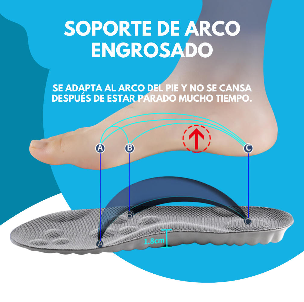 Plantilla 4D ORTOPIE™